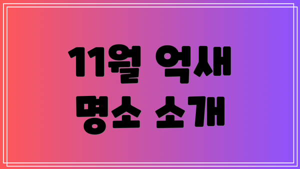 11월 억새 명소 소개