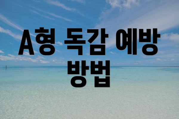 A형 독감 예방 방법