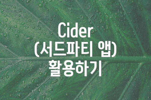Cider (서드파티 앱) 활용하기