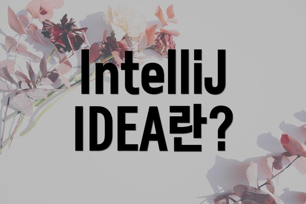 IntelliJ IDEA란?