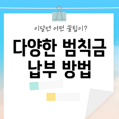 다양한 범칙금 납부 방법