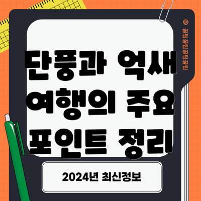 단풍과 억새 여행의 주요 포인트 정리