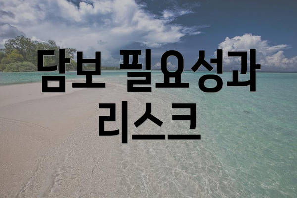 담보 필요성과 리스크