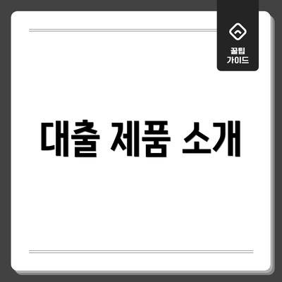 대출 제품 소개