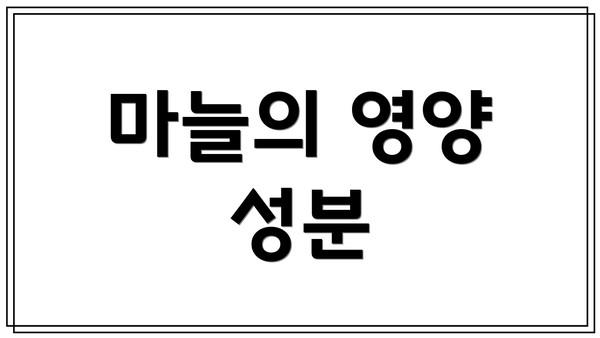 마늘의 영양 성분