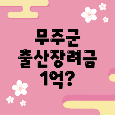 무주군 출산장려금 1억?