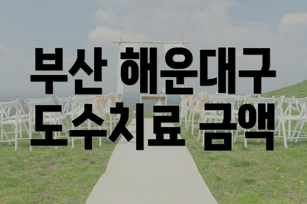 부산 해운대구 도수치료 금액