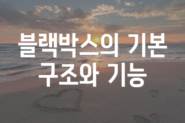 블랙박스의 기본 구조와 기능