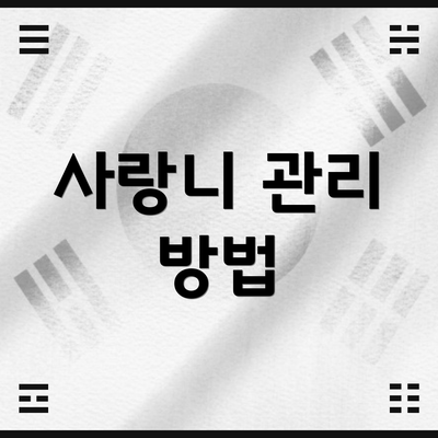 사랑니 관리 방법