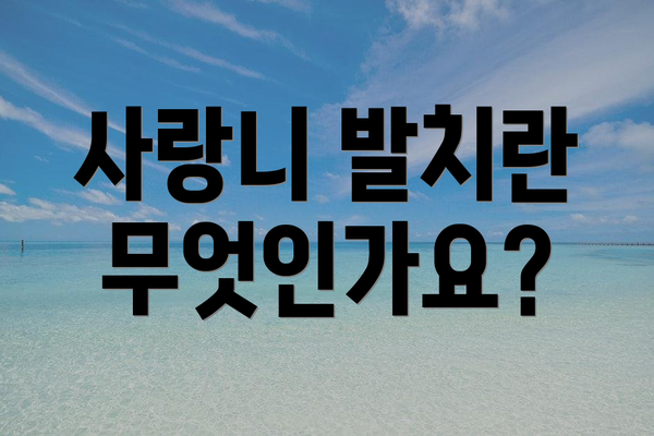 사랑니 발치란 무엇인가요?