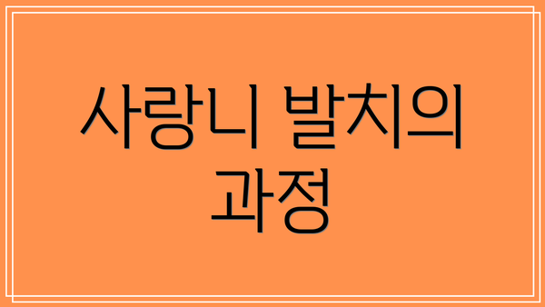 사랑니 발치의 과정