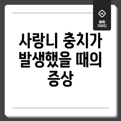 사랑니 충치가 발생했을 때의 증상