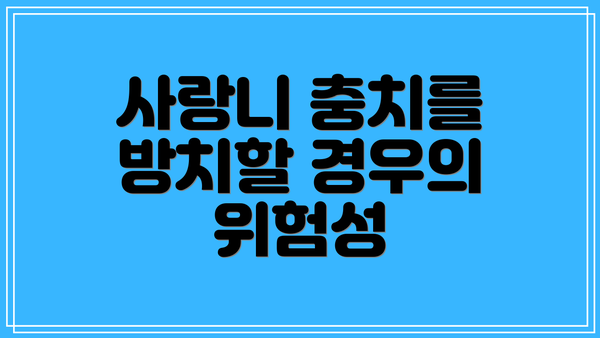 사랑니 충치를 방치할 경우의 위험성
