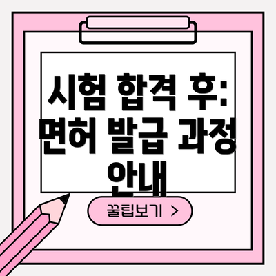 시험 합격 후: 면허 발급 과정 안내