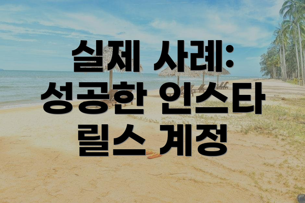 실제 사례: 성공한 인스타 릴스 계정