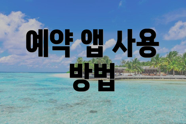 예약 앱 사용 방법