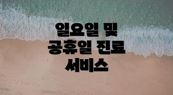 일요일 및 공휴일 진료 서비스