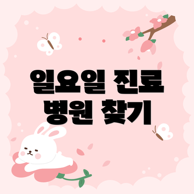 일요일 진료 병원 찾기