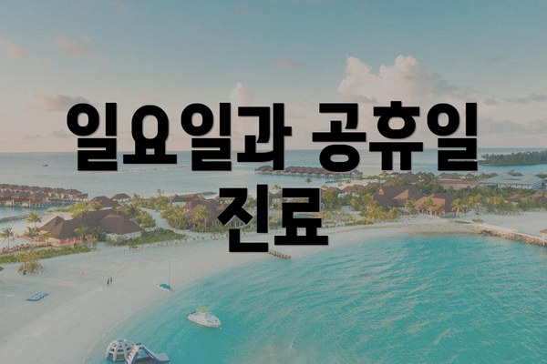 일요일과 공휴일 진료