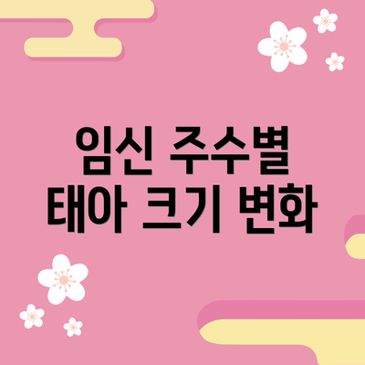 임신 주수별 태아 크기 변화