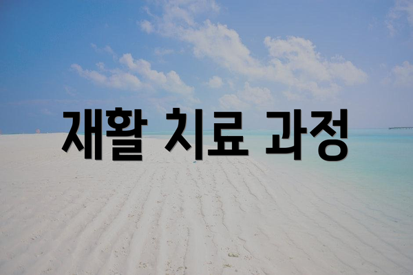 재활 치료 과정