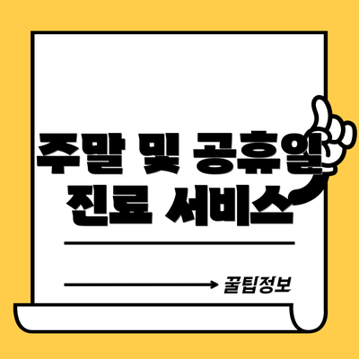 주말 및 공휴일 진료 서비스