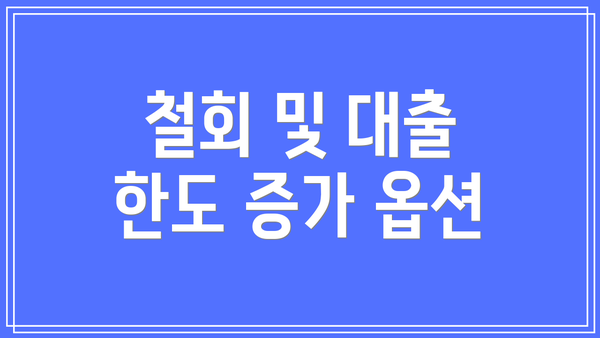 철회 및 대출 한도 증가 옵션