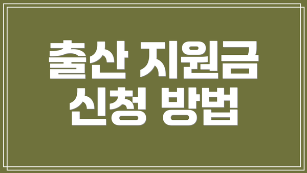 출산 지원금 신청 방법