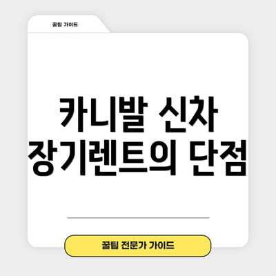 카니발 신차 장기렌트의 단점