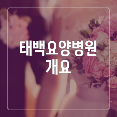 태백요양병원 개요