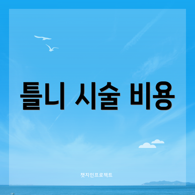 틀니 시술 비용