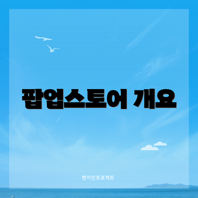 팝업스토어 개요