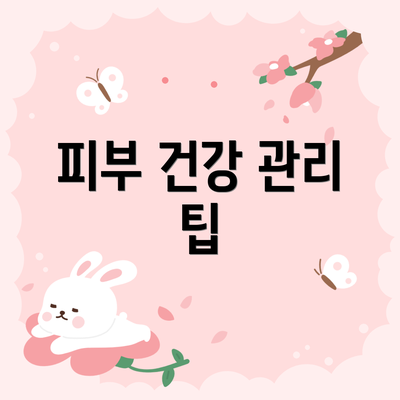 피부 건강 관리 팁