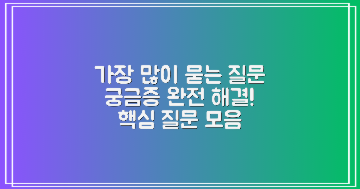 자주 묻는 질문